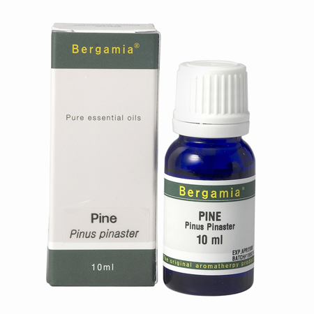 파인오일 10ml